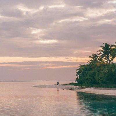 im电竞官方官网下载手机版